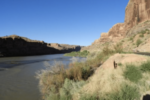 view of the river and banks